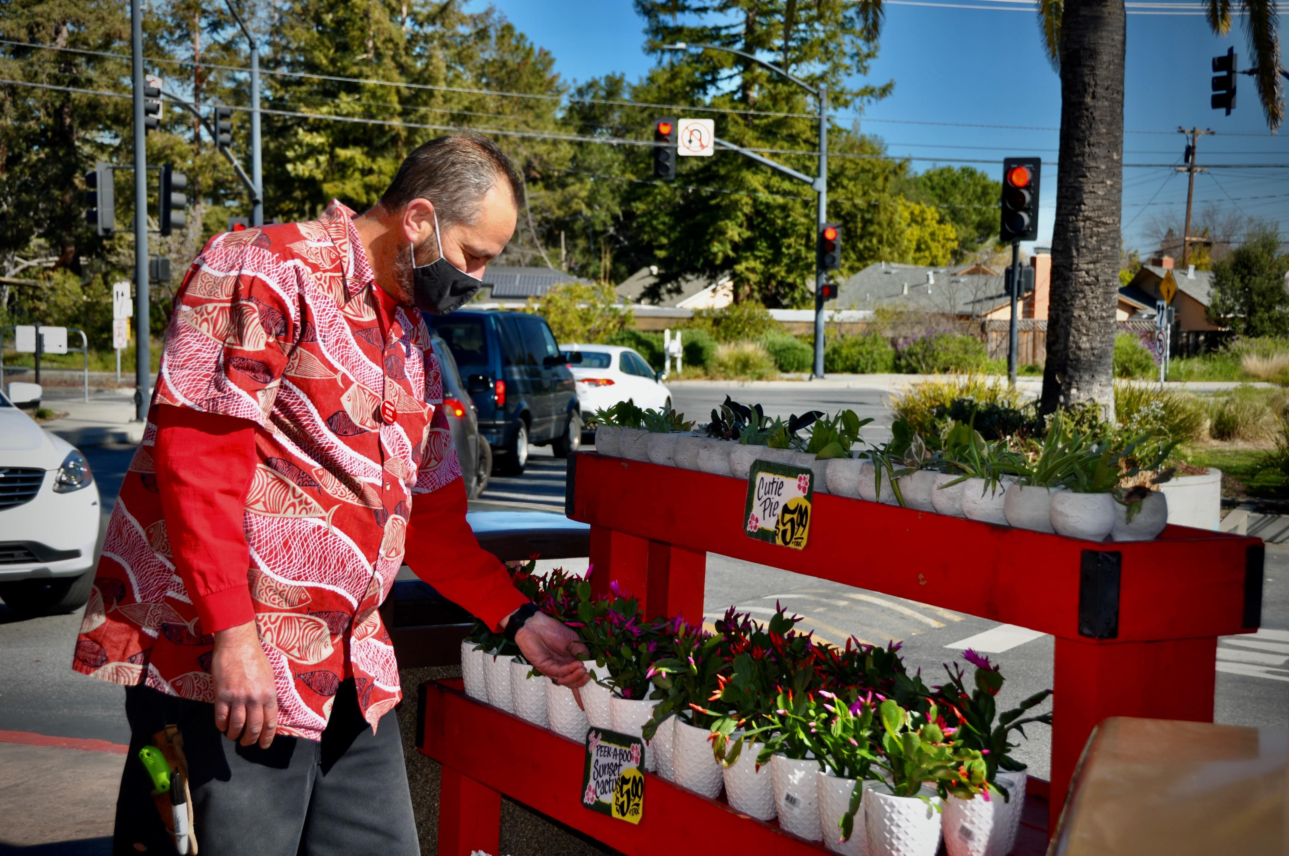 Trader Joe's Crew Member arranging the potted plant display.